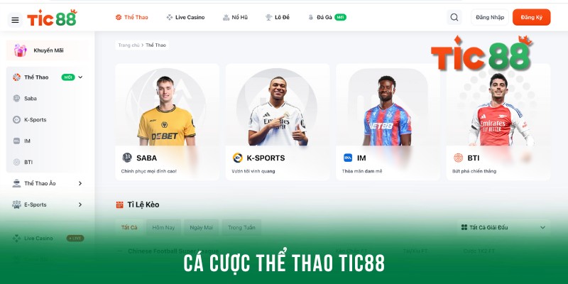 Thể thao Tic88 với nhiều thể loại cược đa dạng