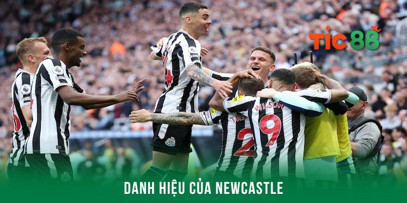 Danh hiệu - Cách nhận định kèo Newcastle chuẩn nhất