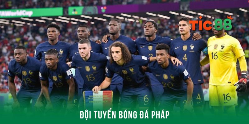 Giới thiệu thông tin tổng quan về đội tuyển bóng đá Pháp