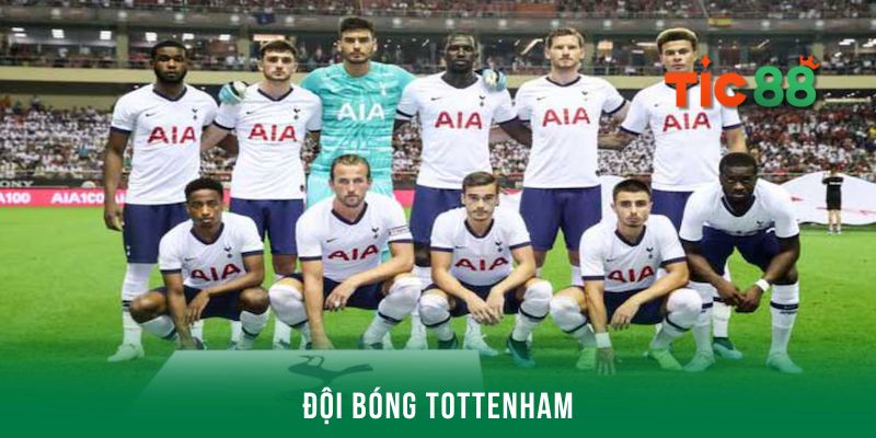Hình ảnh đội bóng chuyên nghiệp Tottenham