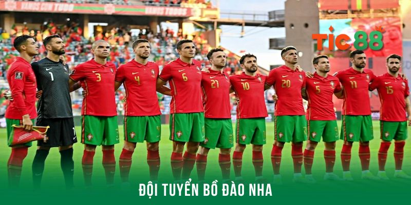 Hình ảnh của đội tuyển bóng đá Bồ Đào Nha