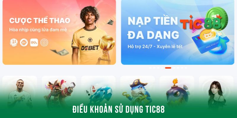 Khám phá điều khoản sử dụng quan trọng trên Tic88