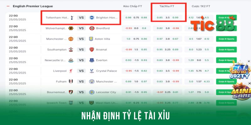 Nhận định kèo Tottenham với tỷ lệ tài xỉu chuẩn