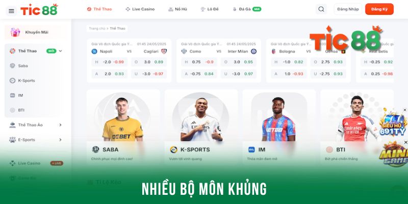 Thể thao Tic88 với nhiều bộ môn siêu khủng