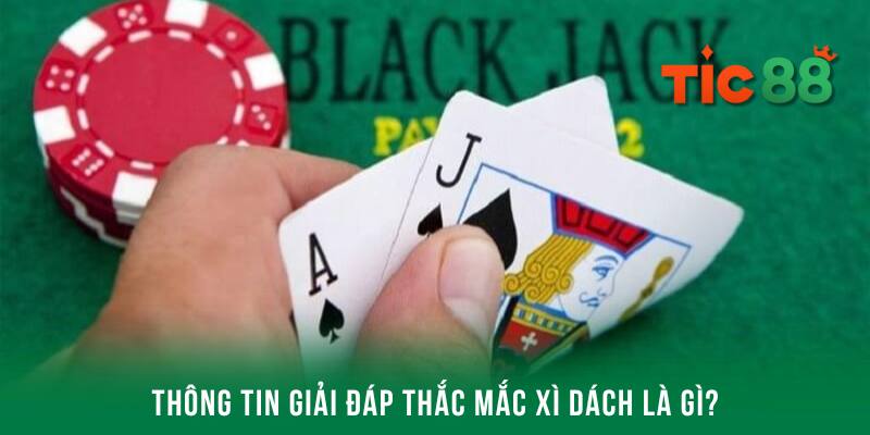 Thông tin khái quát chính xác nhất về game bài Xì Dách đến cho hội viên