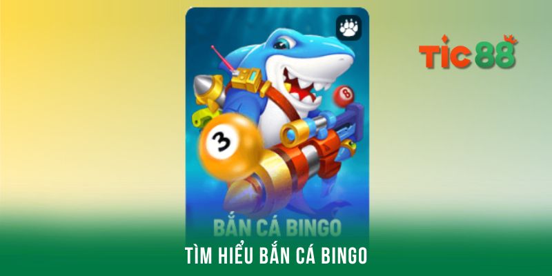 Tìm hiểu bắn cá Bingo