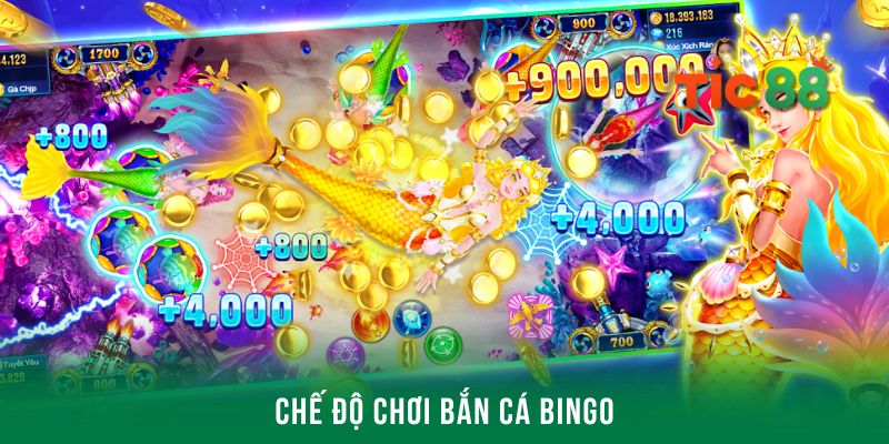 Tìm hiểu các chế độ chơi hấp dẫn tại săn cá Bingo