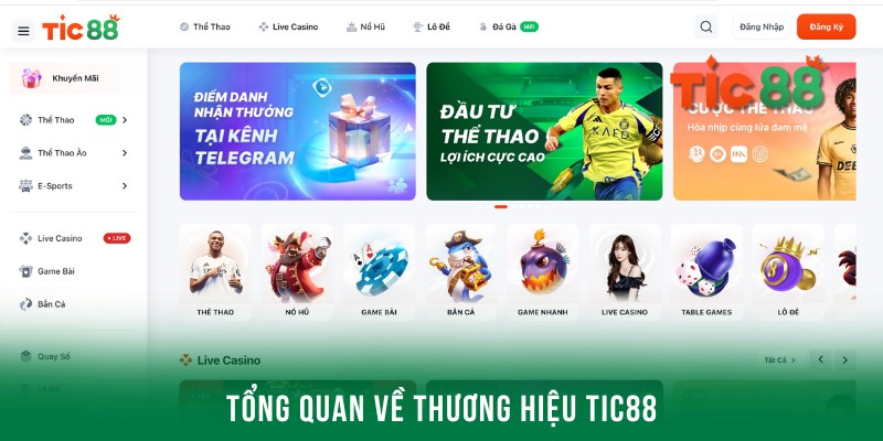 Thông tin khái quát chung về thương hiệu cá cược uy tín Tic88 
